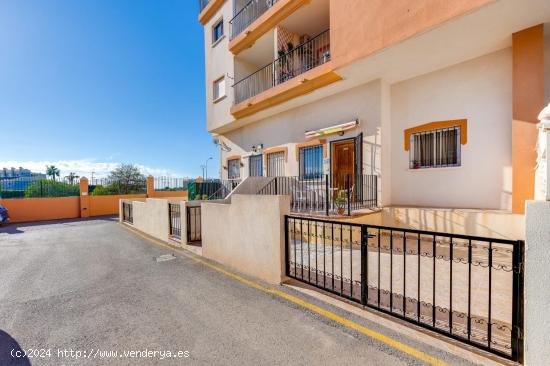 APARTAMENTO PLANTA BAJA EN PLAYA FLAMENCA CON DOS DORMITORIOS Y DOS BAÑOS - ALICANTE