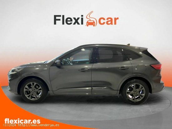 Ford Kuga ST-Line 1.5T EcoBoost 110kW (150CV) - Sevilla