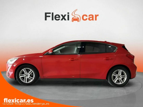 Ford Focus 1.0 Ecoboost 74kW Trend - Arrecife