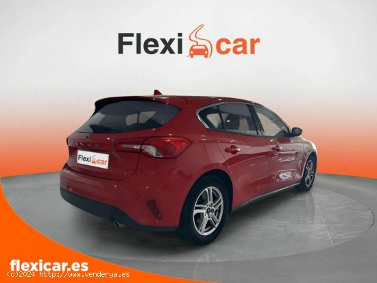 Ford Focus 1.0 Ecoboost 74kW Trend - Arrecife