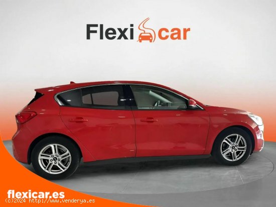 Ford Focus 1.0 Ecoboost 74kW Trend - Arrecife