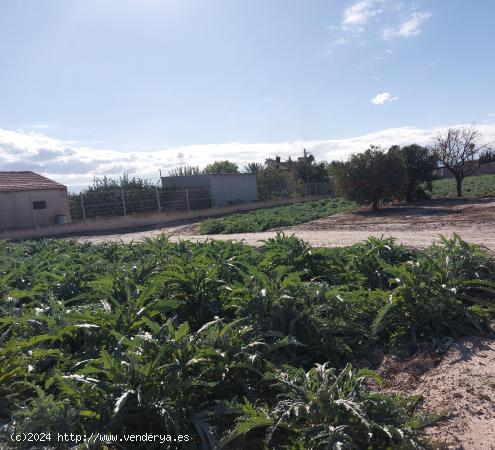  Casa cortijo en ruinas con parcela en Cazalla - MURCIA 