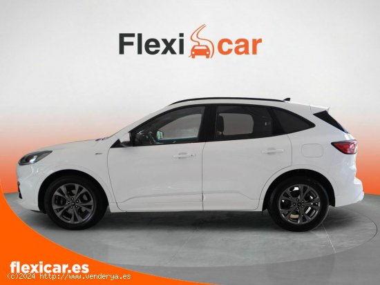 Ford Kuga ST-Line 1.5T EcoBoost 110kW (150CV) - Tarragona