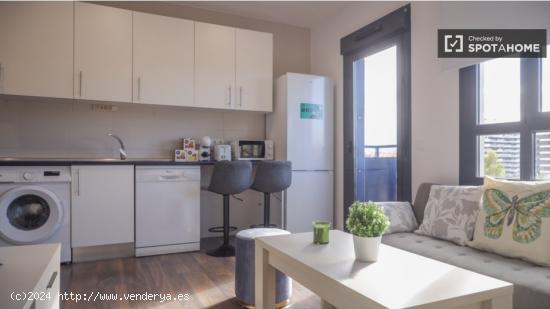 Apartamento de 1 dormitorio en alquiler en Delicias - MADRID