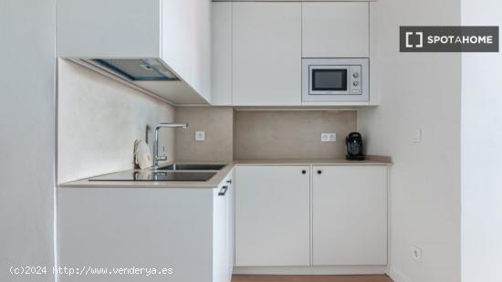 Apartamento entero de 1 habitaciones en Madrid - MADRID