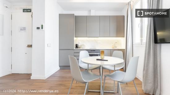 Apartamento entero de 1 habitaciones en Madrid - MADRID