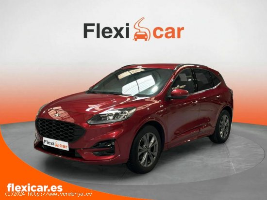 Ford Kuga ST-Line 1.5T EcoBoost 110kW (150CV) - Reocín