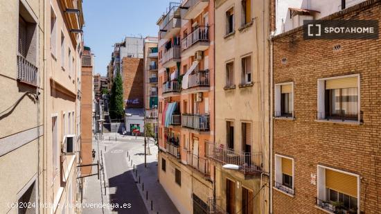 Piso compartido en Barcelona - BARCELONA