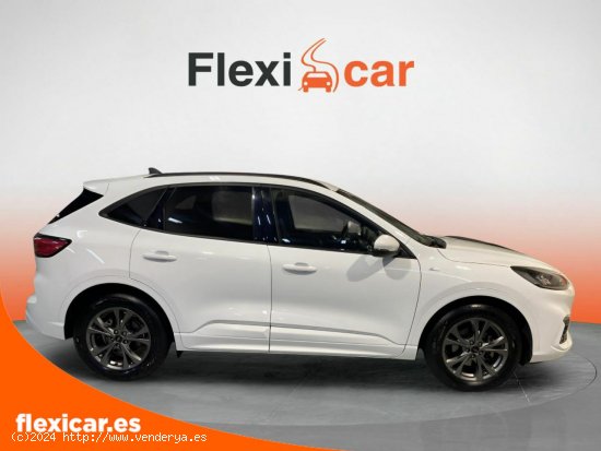 Ford Kuga ST-Line 1.5T EcoBoost 110kW (150CV) - Biscay