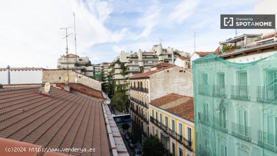 apartamento de 1 dormitorio en alquiler en Malasaña - MADRID