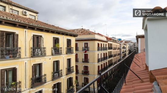 apartamento de 1 dormitorio en alquiler en Malasaña - MADRID