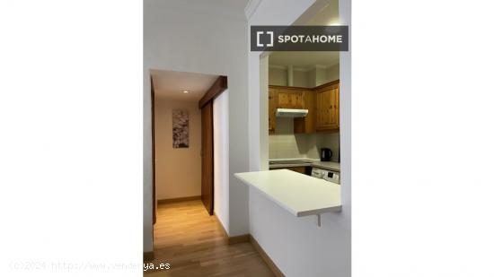 Apartamento entero de 1 habitaciones en Madrid - MADRID