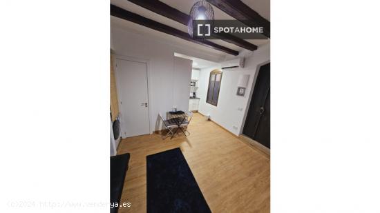 Apartamento entero de 1 dormitorio en Barcelona - BARCELONA