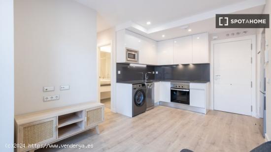 Apartamento entero de 1 habitaciones en Madrid - MADRID