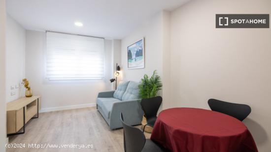 Apartamento entero de 1 habitaciones en Madrid - MADRID