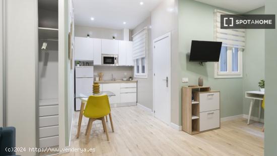 Piso estudio en alquiler para profesionales en Malasaña - MADRID