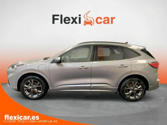 Ford Kuga ST-Line 2.5 Duratec PHEV 165kW Auto - Vélez-Málaga