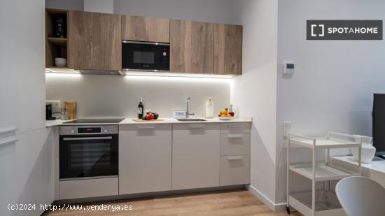 Apartamento entero de 1 dormitorio en Barcelona - BARCELONA