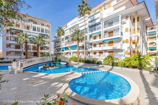  Apartamento en venta en Torrevieja (Alicante) 