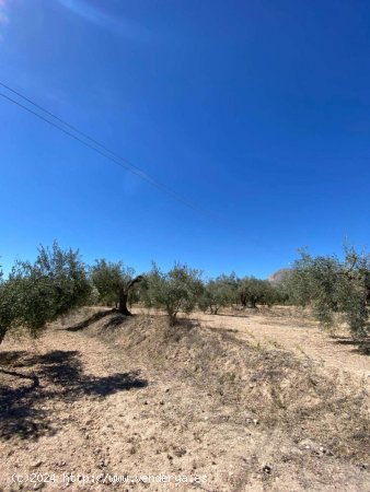 Finca en venta en Vélez-Blanco (Almería)