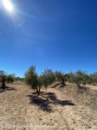 Finca en venta en Vélez-Blanco (Almería)