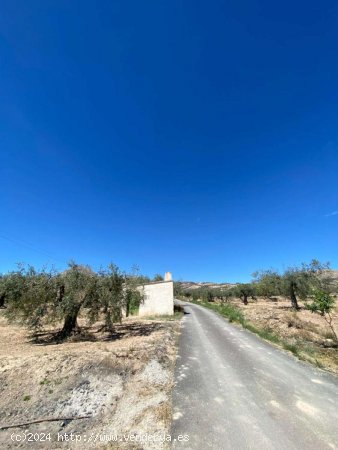 Finca en venta en Vélez-Blanco (Almería)