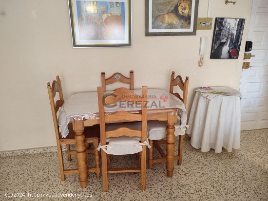 Apartamento en alquiler en Torre del Mar (Málaga)