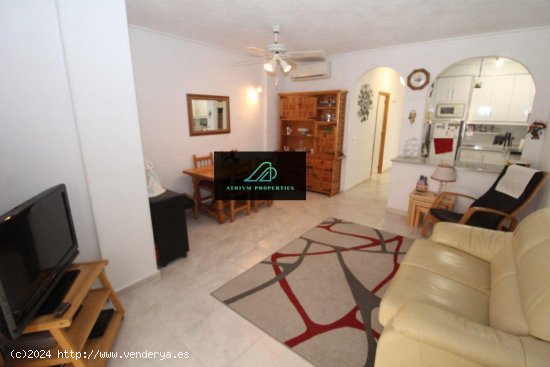  Apartamento en alquiler en Torrevieja (Alicante) 