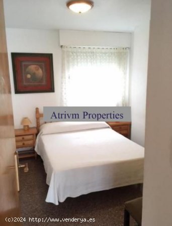 Apartamento en alquiler en Guardamar del Segura (Alicante)