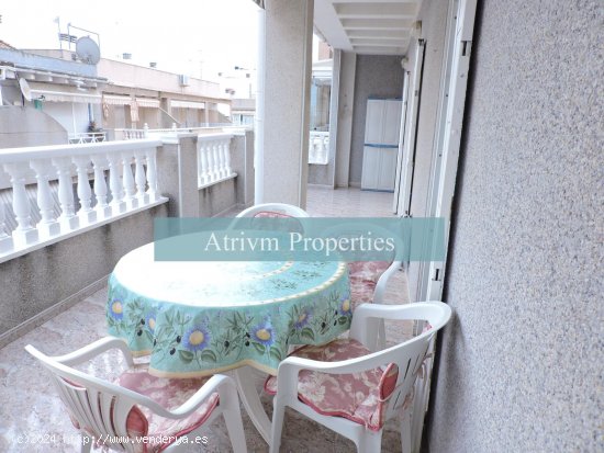 Apartamento en alquiler en Torrevieja (Alicante)