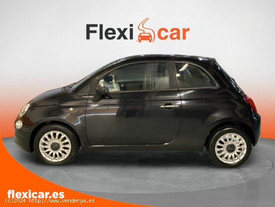 Fiat 500 Cult 1.0 Hybrid 51KW (70 CV) - Biscay