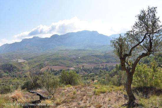 Finca en Horta de Sant Joan con manantial - TARRAGONA