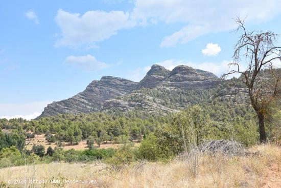 Finca con masía camino a Las Pesqueras - TERUEL