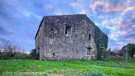 Descubre la Finca Xian, ¡invierte en tu viñedo soñado! - A CORUÑA