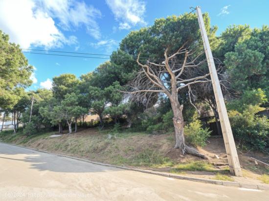 ENCANTADOR TERRENO SOLEADO CON IMPRESIONANTES VISTAS AL MAR EN PREMIÀ DE DALT - BARCELONA