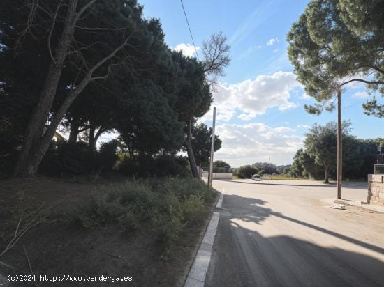 ENCANTADOR TERRENO SOLEADO CON IMPRESIONANTES VISTAS AL MAR EN PREMIÀ DE DALT - BARCELONA