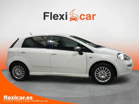 Fiat Punto 1.2 8v Easy 69 CV S&S Gasolina - Reocín