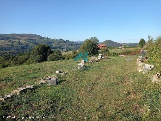 Se vende terreno rústico urbanizable en Liendo - CANTABRIA