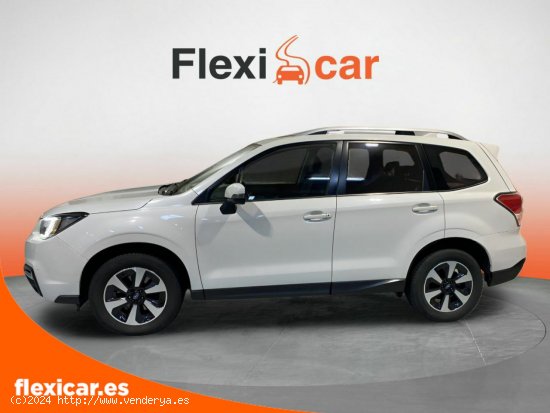 Subaru Forester 2.0 TD Lineartronic Executive - Biscay