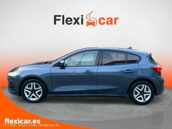 Ford Focus 1.5 Ecoblue 88kW Trend+ - Vilagarcía de Arousa