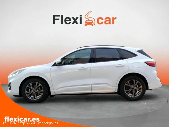 Ford Kuga ST-Line 1.5T EcoBoost 110kW (150CV) - Santander