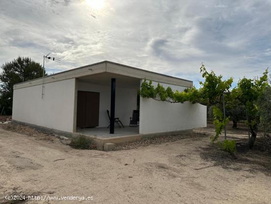 Estupenda finca rústica en el término municipal de San Miguel de Salinas, Alicante - ALICANTE