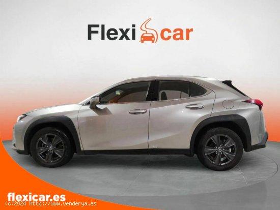 Lexus UX 2.0 250h Business - València