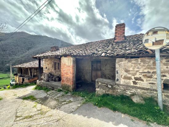 DOS CASAS DE PIEDRA ADOSADAS, FINCA CON TERRENO, VISTAS PANORAMICAS, PANERA Y CUADRAS-ALMACÉN - AST