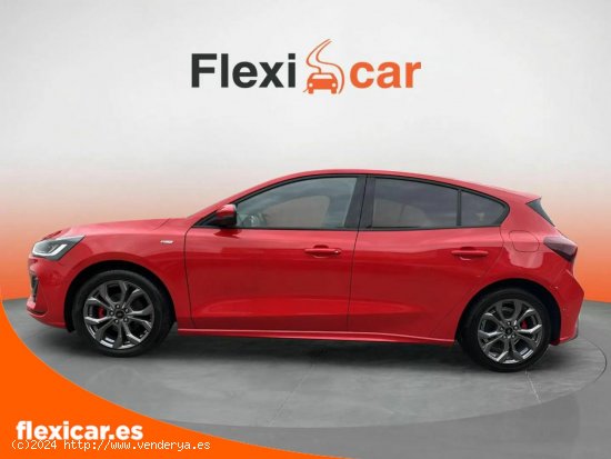 Ford Focus 1.0 Ecoboost MHEV 92kW ST-Line - Alicante