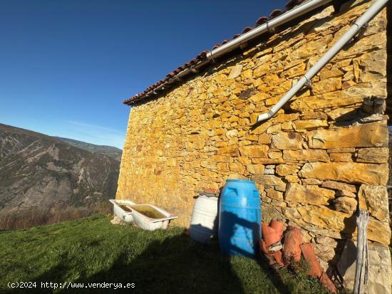 TERRENO EN MIERA. - ASTURIAS