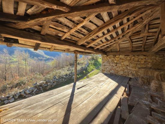 TERRENO EN MIERA. - ASTURIAS