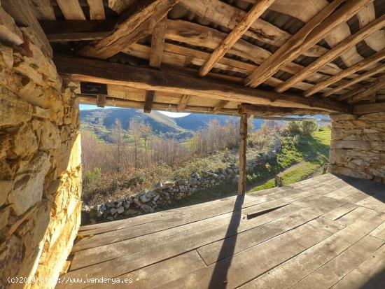 TERRENO EN MIERA. - ASTURIAS