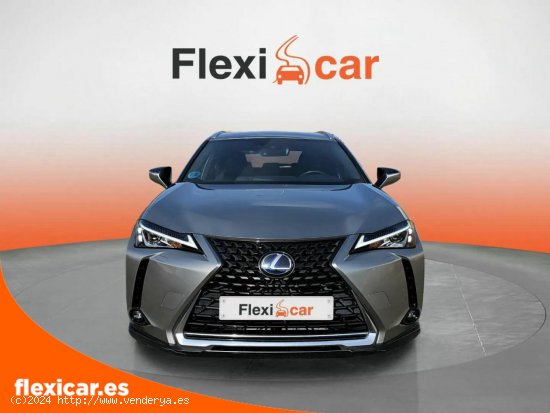 Lexus UX 2.0 250h Business - Segovia