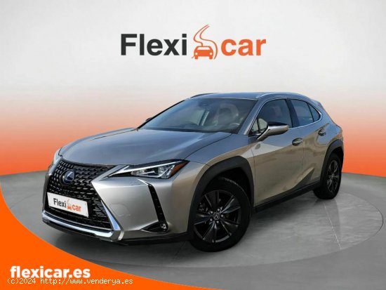 Lexus UX 2.0 250h Business - Segovia